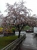 В Крылатском