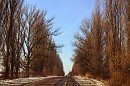 великаны у дороги