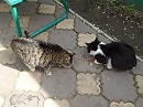 ПО-БРАТСКИ !!