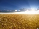 Дума об Украине...