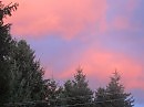 Белая ночь