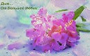 Дым… От Большой Любви… Романс