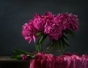 Натюрморт с пионами