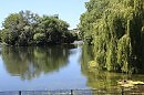 Лондон. Regent,s park.