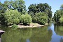 Лондон. Regent,s park.