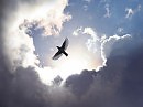 Одиночество