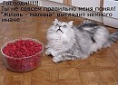 Середина