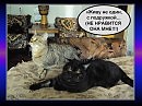 Одна страничка из автобиографии"Британца":