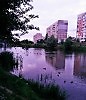 Речная романтика