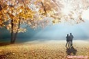 «Желтая осень стоит между нами» муз.Алексея Плотникова. сл.Николая Еременко