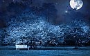 ОДИНОЧЕСТВО  БАБЬЕГО  ЛЕТА