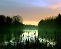 Агенты "Яломиште " (часть 53.2)