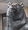 Медведь- это очень древний символ моего родного Ужгорода.