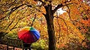 Осень для двоих