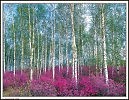 Дорога на пляж