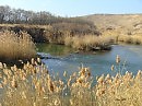 Осень на реке
