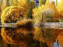 Осень золотая