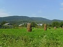 В  Шешорах