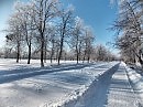 В зимнем парке