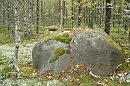 Карельский лес осенью.