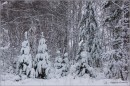 Подружки в новых шубках