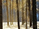 Снежная пыль.