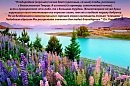 Плоды хорошей почвы превосходны