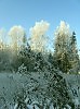 Ноябрь. Первый снег.