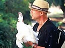 У ТАРКОВСКОГО КУР СМЕРТЬ У АЛЬМАДОВАРА БОЙ НУ А У АМЕРИКОСОВ УЛИСС КУРА ШЛЯПА ЭТО ЗНАЧИТ ОН СЕЙЧАС ДОСТАНЕТ ОРУЖИЕ И БУДЕТ СРАЖАТЬСЯ АРХЕТИП ОБЯЗЫВАЕТ