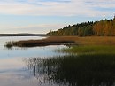 БЕЗ СЛОВ