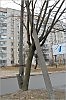 Сложное переплетение