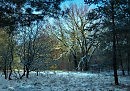 ПЕРВЫЙ СНЕЖОК