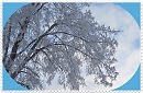 Из снега ночь связала кружева...