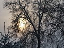 Снежная мгла января.