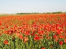просыпайся