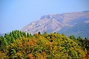 Земля...  ст.  Арсений  Тарковский