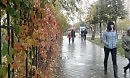 Осенью