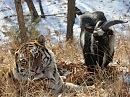 Привет из Рая