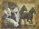 Где же кони,вы где....