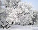 Февраль-брюзга