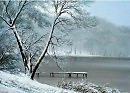У ЗИМЫ СТАЛЬНАЯ КРАСОТА