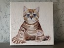 Котенок