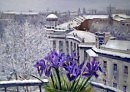 Светлая печаль