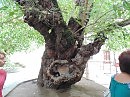 Трещине 500 лет.