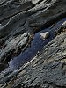 Вода камень точит