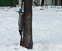 Мальчик