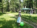 В лесу, на опушке...