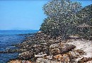 На острове Koh-Larn. Таиланд.