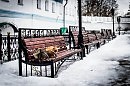 Казанские коты