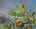 Круглова Ирина. Подсолнухи у дома